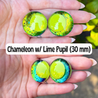 Chameleon Safety Eyes