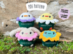 Chonky Flowers Crochet Pattern (No Sew)